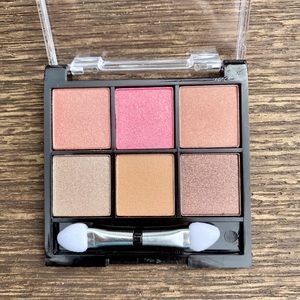 Bhcosmetics neutral eyes to go